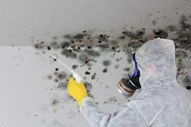 Biohazard Mold Removal in Georgetown, IL